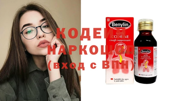 2c-b Инсар