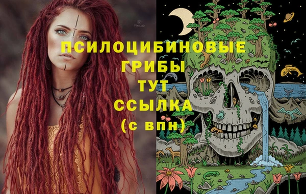 ГАЛЛЮЦИНОГЕННЫЕ ГРИБЫ Каменногорск