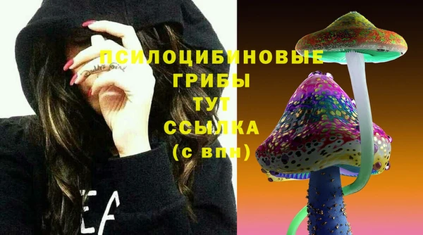 ГАЛЛЮЦИНОГЕННЫЕ ГРИБЫ Каменногорск