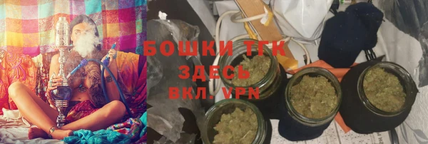 ПСИЛОЦИБИНОВЫЕ ГРИБЫ Инта