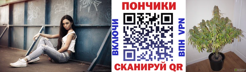 Купить  Дегтярск  Бошки Шишки Bruce Banner 